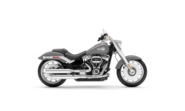 Harley-Davidson Fat Boy Billiard Gray