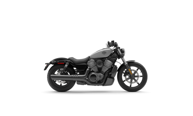 Harley-Davidson Nightster Billiard Gray