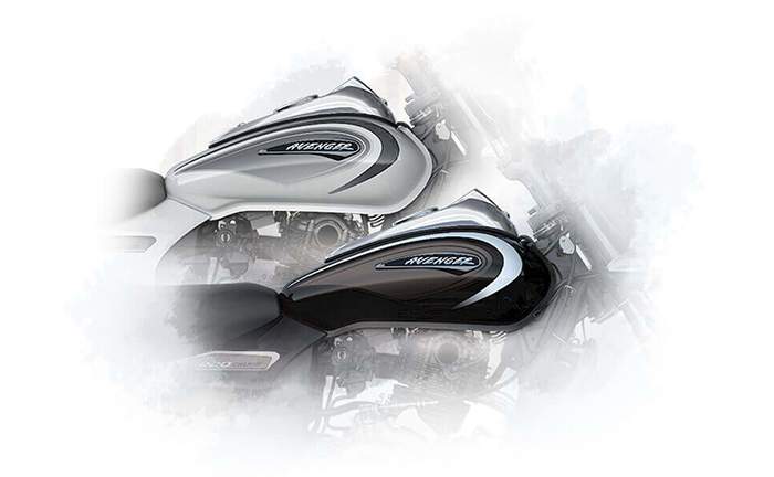 Bajaj Avenger Cruise 220 Body Color