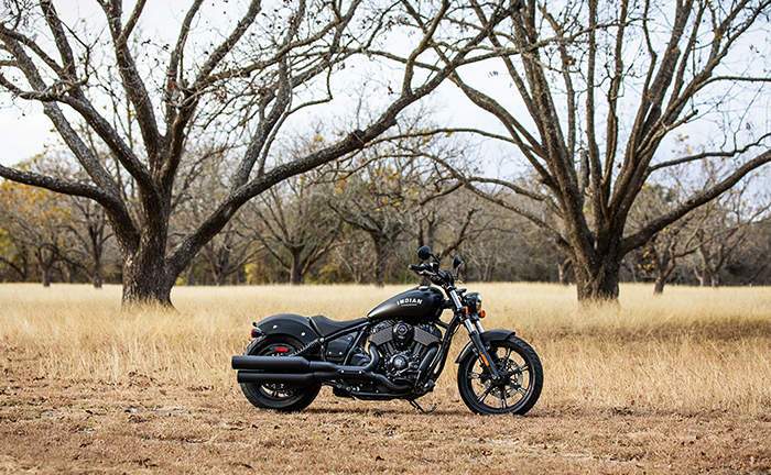 Indian Chief Dark Horse