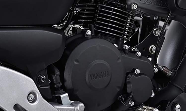Yamaha Fz X Engine Cover