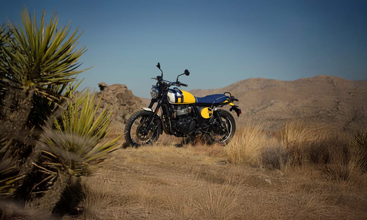 Royal Enfield Bear 650 Images