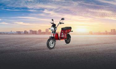 Detel Mobility Veeru