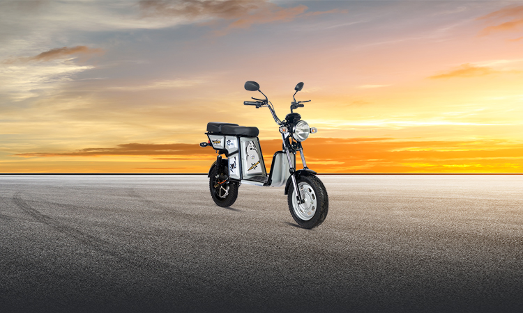 Detel Mobility Veeru Plus Price