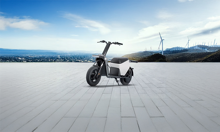 Ola Electric Gig Price