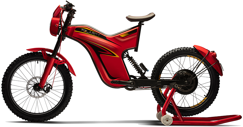 Polarity Sport Price