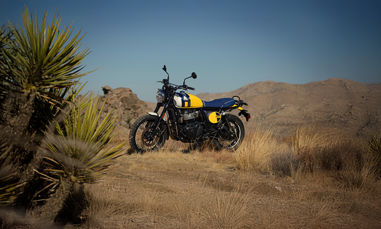 Royal Enfield Bear 650 Price