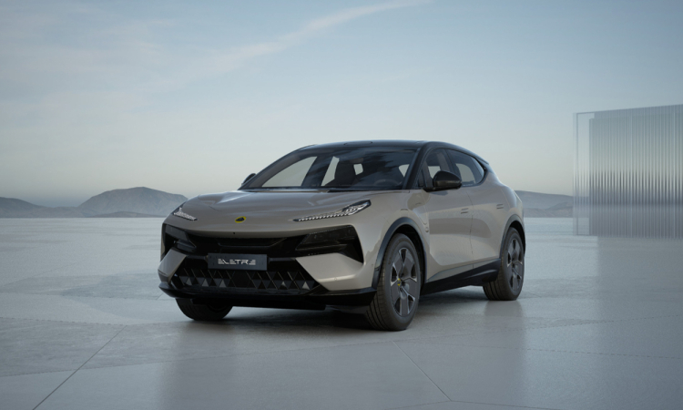 Lotus Eletre Blossom Grey