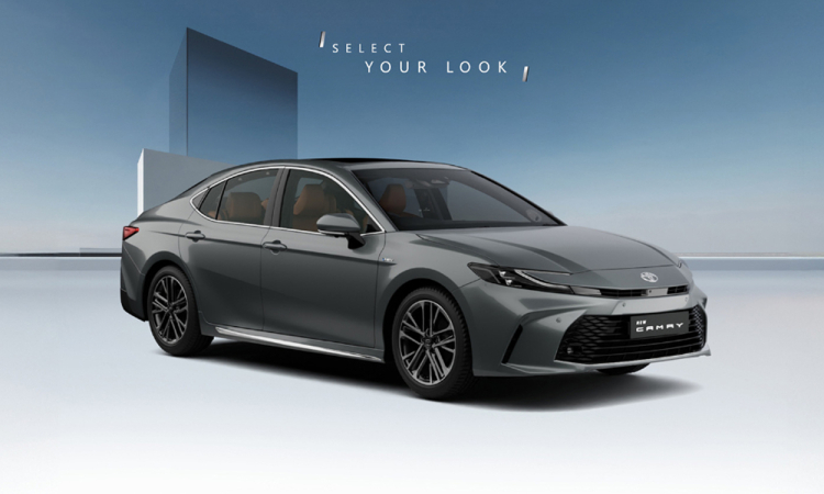 Toyota Camry Cement Grey